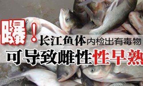 长江面临“无鱼之困”，禁渔之余提高水质也要同步实行